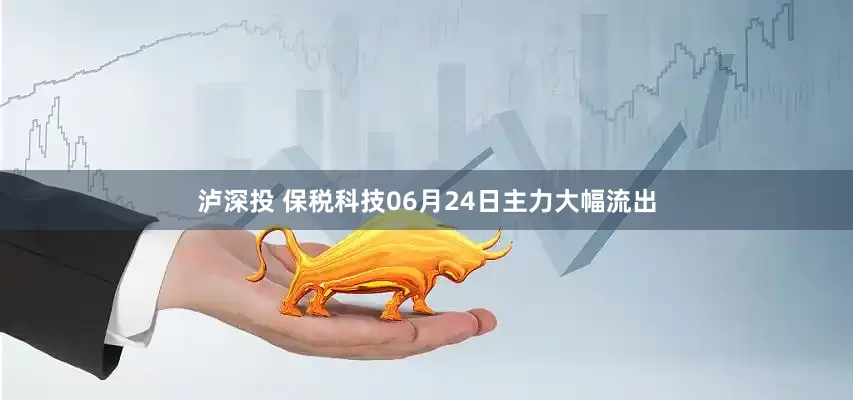 泸深投 保税科技06月24日主力大幅流出