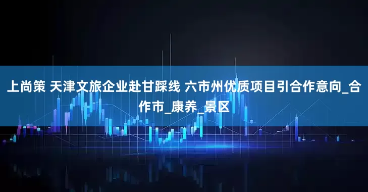 上尚策 天津文旅企业赴甘踩线 六市州优质项目引合作意向_合作市_康养_景区