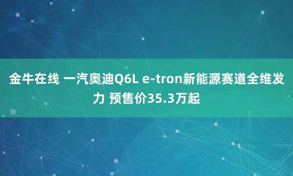 金牛在线 一汽奥迪Q6L e-tron新能源赛道全维发力 预售价35.3万起