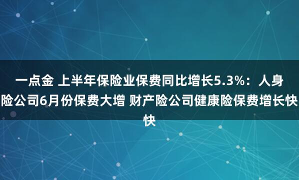 一点金 上半年保险业保费同比增长5.3%：人身险公司6月份保费大增 财产险公司健康险保费增长快
